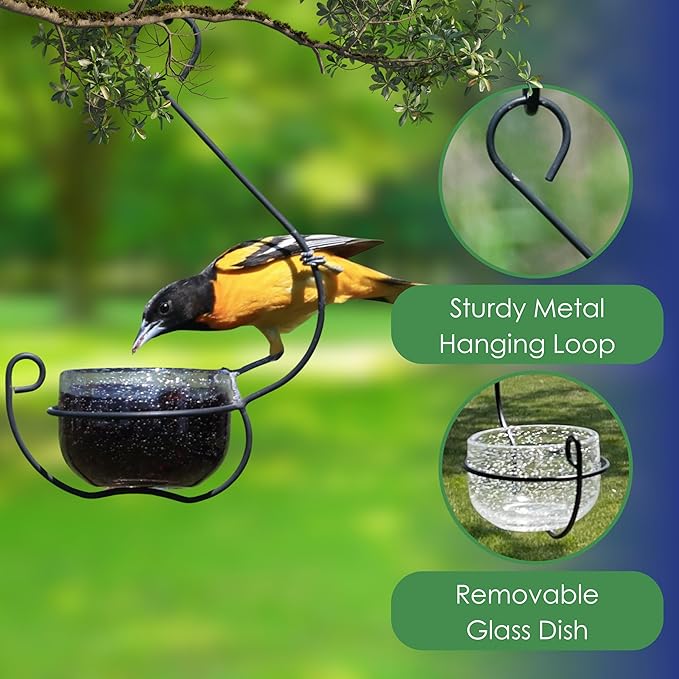 Clear Glass Hanging Bird Feeder - Removable Bowl for Mealworms, Jelly, Nectar, Seed & Fruit - Decorative Wire Hook - Versatile Outdoor Treat Feeder for Bluebirds, Orioles & More