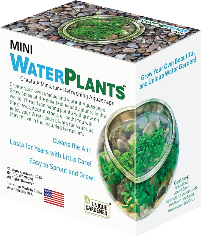 Mini WaterPlants - Create Your Own Soothing Aquasacape Starter Kit, Indoor Plant Glass Globe Terrariums with Complete Supplies, Just Add Water!