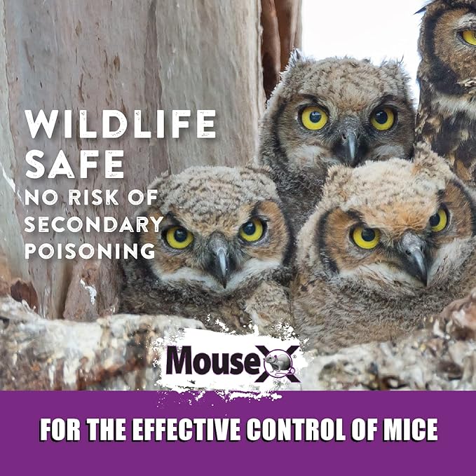 MouseX 1lb Bag, All-Natural Poison Free, Effective Against All Species of Rats and Mice - EcoClear Products