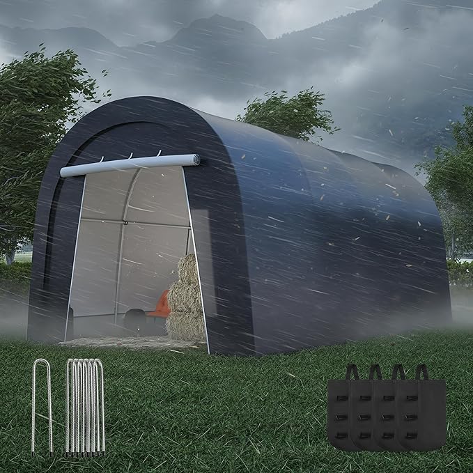 Wisteria Lane Heavy Duty Carport with 4 Cloth Bags, All-Weather Car Canopy with 2 Roll-up Doors, Portable Garage Storage Shelter Shed for Cars, Truck, or Garden Tools, 10' x 20'