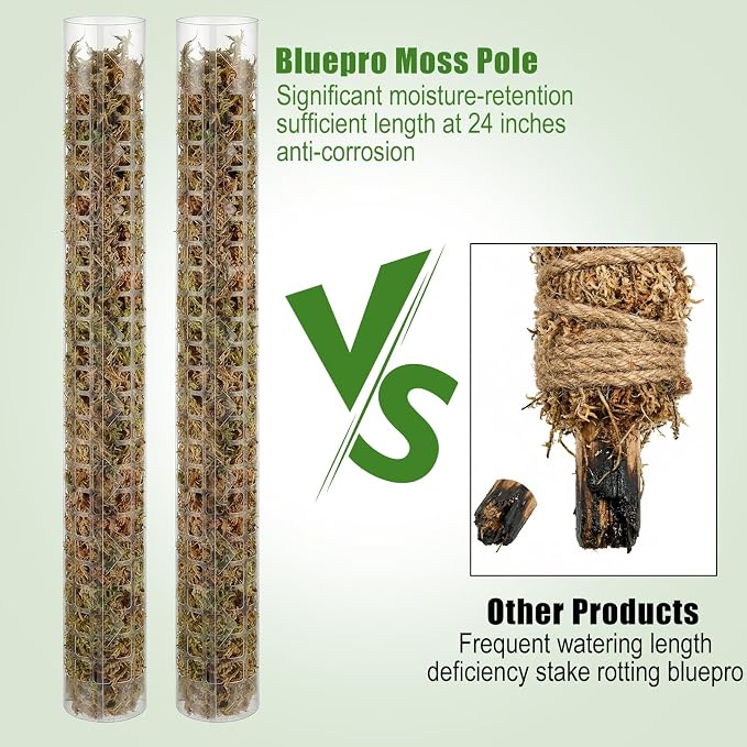 6 Pcs Plastic Moss Pole for Monstera 6×24'' Plant Poles for Climbing Plants Shaped Plant Support Indoor Use with Sphagnum Moss for Climbing Plants Work 24 Inch