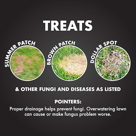 Spectracide Immunox Fungus Plus Insect Control For Lawns 32 Ounces, Dual Action, Hose-End Concentrate
