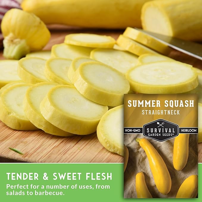 Survival Garden Seeds - Straightneck Summer Squash Seed for Planting - 3 Packets with Instructions to Plant and Grow Yellow Squash in Your Home Vegetable Garden - Non-GMO Heirloom Variety