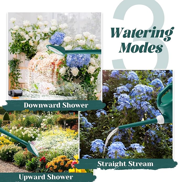 1 Gallon Watering Can, Garden Watering Can Outdoor, Plant Water Can with Removable Long Spout and Stainless Steel Sprinkler Head, Plastic Indoor Watering Cans for Gardening Flower Plants