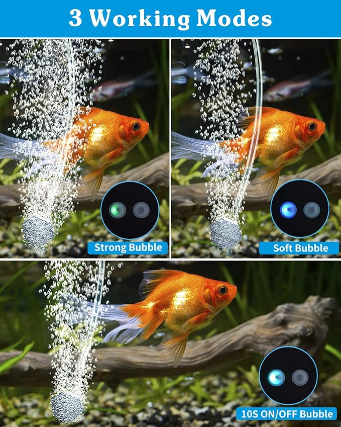 Biling 2W Solar Pond Aerator with Battery Backup, Air Hose, Air Stones, 3 Working Modes for Outdoor Fish Pond Stock Tank Aquarium