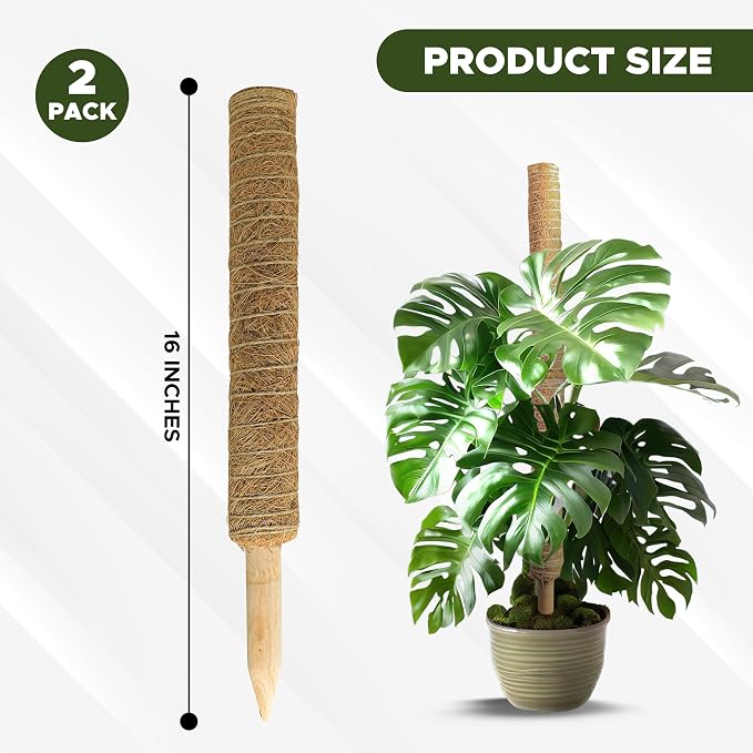 EcoNour 26.5" (2 Pack -16") Stackable Moss Pole for Monstera Plant Support | Moss Pole Sticks for Indoor Plants | Bamboo Plant Stakes,Climbing,Potted,Pothos| Philodendron & Creepers with Tie Accessory