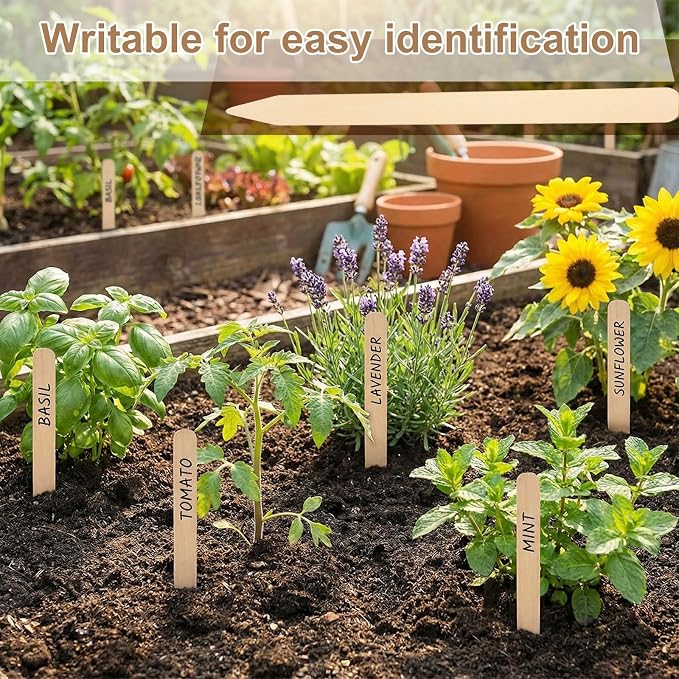 Weysat 100 Pcs 12" Wood Plant Labels for Field or Containers Plant Tags Wood Garden Labels for Seedling Stakes Markers Nursery Seed Tags with Smooth Surface for Pot Herbs Flowers Vegetables (Natural)
