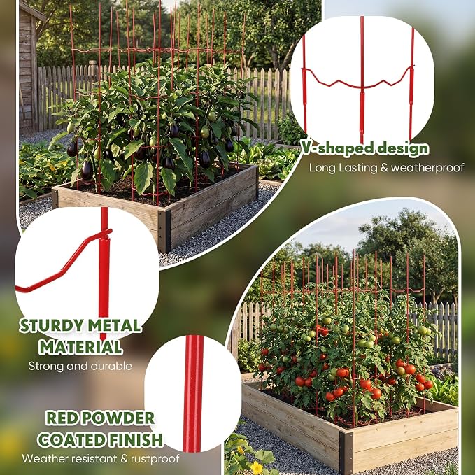 4 Pack Tomato Cage for Garden, 6" W x 6" D x 32" H Pepper and Eggplant Garden Stakes Metal Plant Support Sturdy V-Shape Trellis for Climbing Plants Vegetables Flowers Fruits