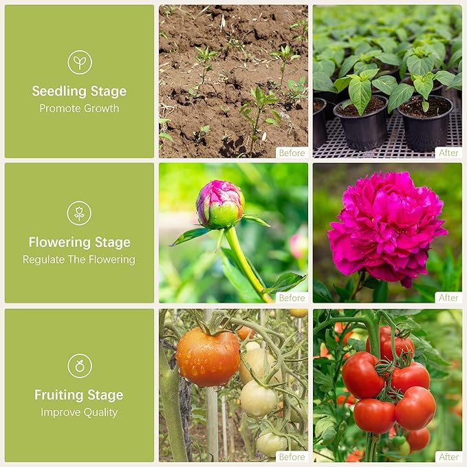 Outdoor LED Grow Light, Waterproof String Plant Growing Light, 41 FT Full Spectrum Growth Light, Suitable for Garden, Farm, Flower, Seedling Greenhouse Grow Light (12 Light)