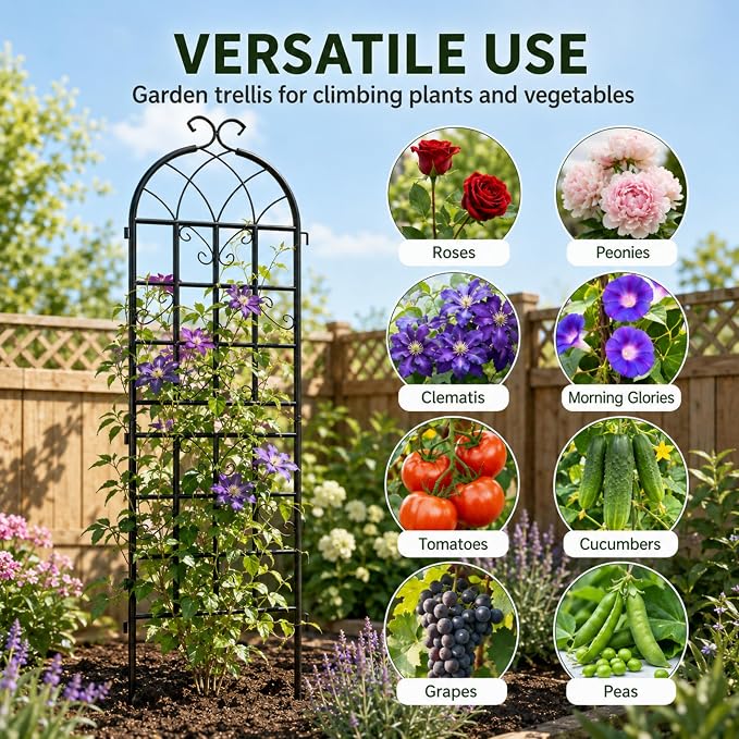 4 Pack Garden Trellis for Climbing Plants Outdoor, 71" H x 20" W Rustproof Iron Plant Support for Rose, Vine, Cucumber, Decorative Scrollwork Clematis Trellis for Yard, Lawn Patio or Wall Decor