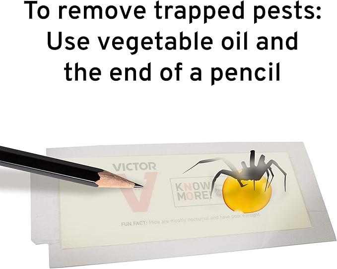 Victor M309 Professional Glue Boards for Insect and Rodent monitoring - 72 Glue Boards