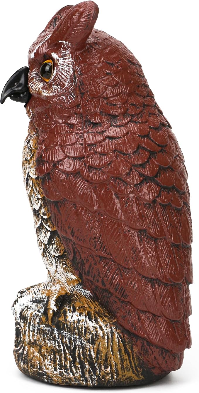 Owl Deterrent 11 Inch – Plastic Fake Decorative Bird Scarecrow Protection, Nature’s Enemy Pest Repellent to Scare Birds Away, Outdoor Garden Yard Protector Statue, Realistic Eyes, Home Halloween Decor