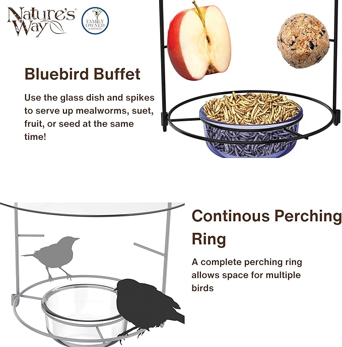 Nature's Way BBFM1 Bluebird Buffet Metal Bird Feeder with Protective Baffle, Outdoor Wild Bird Feeder and Décor, One Glass Dish with 3/4 Cup capacity, Blue