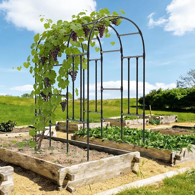 Garden Arch Trellis - 47" L*71" W*87" H, Rust-Proof Grape Trellis with Thickened Steel 20MM Pipe, Garden Arch Trellis for Climbing Plants Outdoor, Tunnel Trellis for Cucumber, Pumpkin, Melon