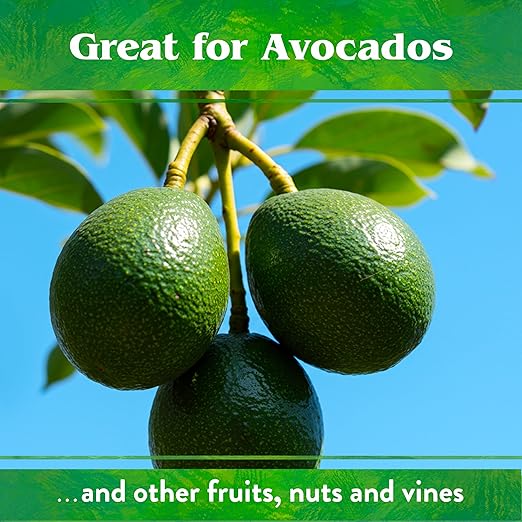 Down To Earth All Natural Fertilizers Organic Citrus Mix - Plant Food for Lemons, Limes, Oranges and Avocados 6-3-3, 1 lb