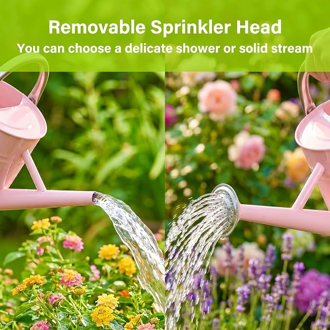 Watering Can for Outdoor&Indoor Plants，1 Gallon Metal Watering Can with with Removable Spout，Galvanized Steel Garden Flower Water Can Plant Watering Pot with 2 Handles,Pink