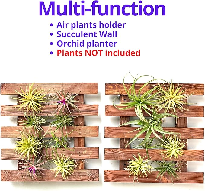 ShopLaLa Bundle- 2 Pack, 11.4 Inch Wooden Plant Holder + 10 Pack, 4 Inch Self Watering Plastic Pot Hanging Vertical Wall Mount Hydroponic Garden Indoor Frame Display Live Air Plants Orchids Decoration