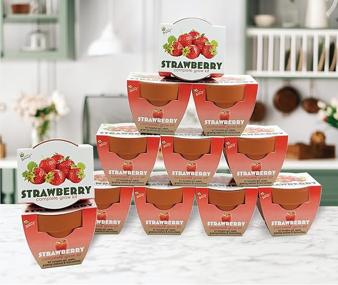 BUZZY Seeds Mini Terracotta Grow Pots, Alpine Strawberry DIY Plant Kit, 12-Pack Classic Collection, Indoor and Outdoor Planting, Wedding Favors, Gardening Gift, Showers, Valentine
