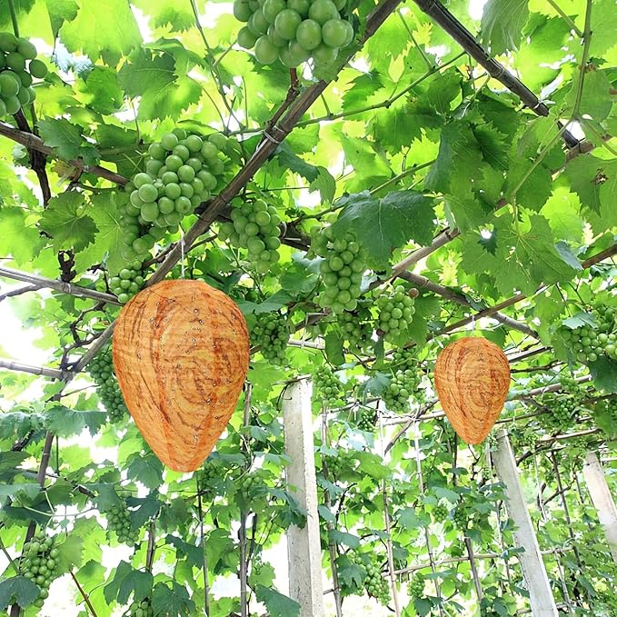 DECYOOL 6 Pack Wasp Nest Decoy Hanging Wasp for Wasps Hornets Yellow Jackets Outdoor Waterproof Material (Orange)