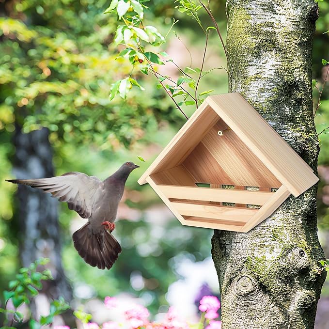 DoubleFill 2 Pcs Cedar Dove Nesting Box Dove House Nest for Bird Pigeon Outside Doves Nesting and Roosting Platform Garden Decoration (Classic)
