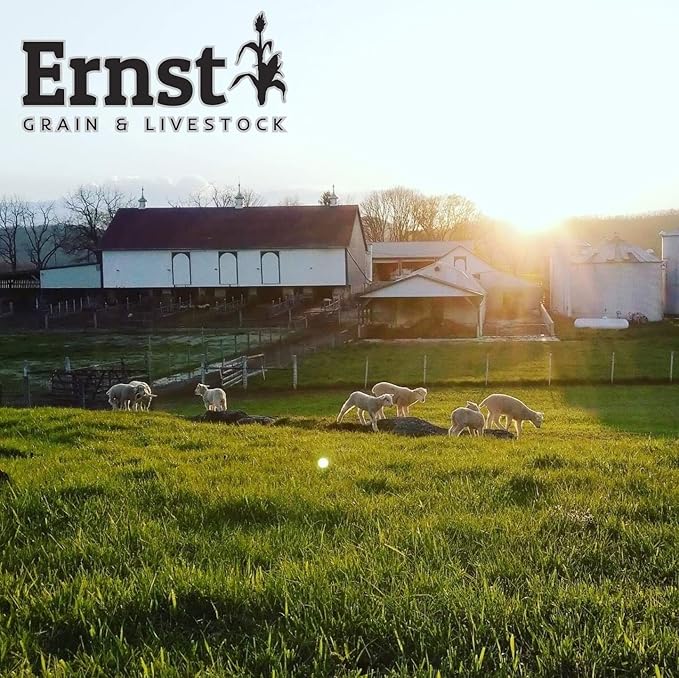 Ernst Grain & Livestock's Bird and Wildlife Feed – Perfect for Birds, Ducks, Squirrels, Turkeys, Rabbits, Geese, and Deer – Non-GMO Wild Animal & Bird Feed for Outside Feeders (46 Pound)