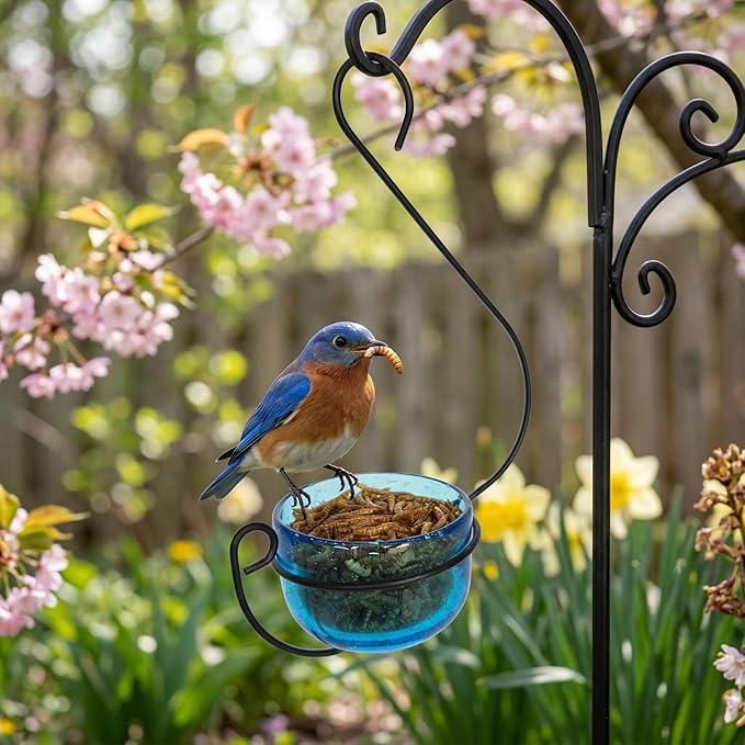 Bluebird Mealworm Feeder - Sparkling Blue Glass Bowl with Decorative Hanging Hook - Removable Cup for Easy Cleaning - Dried or Live Mealworm Feeder for Bluebirds Outdoors