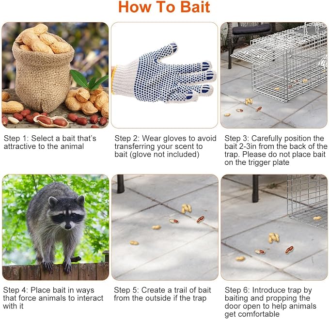 TeqHome Large Live Animal Trap Cage, 31"x11"x12" Live Animal Cage Trap Humane Raccoon Traps Catch Release, Collapsible One-Door Animal Catcher Cage for Cats Opossums Groundhogs Skunks Squirrel Rodent