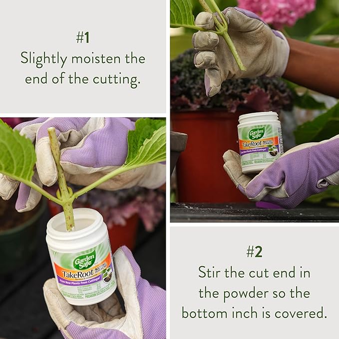 Garden Safe Brand TakeRoot Rooting Hormone, 12 Count, Powder Helps Grow New Plants from Cuttings Including Most Home, Garden and Greenhouse Varieties, 12 Pack