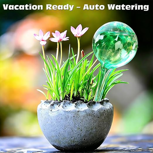 Self Watering Globes for Plant – Large 6pcs Colorful Glass Plant Watering Device for Indoor Pots, Self Watering Bulbs for Vacation Plant Care, Drip Irrigation System for Garden, Patio & Hanging Plants