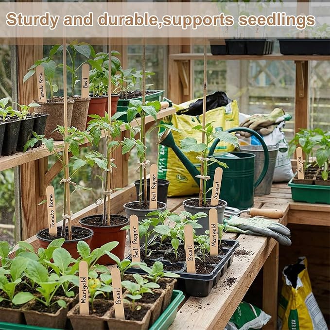 Weysat 100 Pcs 12" Wood Plant Labels for Field or Containers Plant Tags Wood Garden Labels for Seedling Stakes Markers Nursery Seed Tags with Smooth Surface for Pot Herbs Flowers Vegetables (Natural)