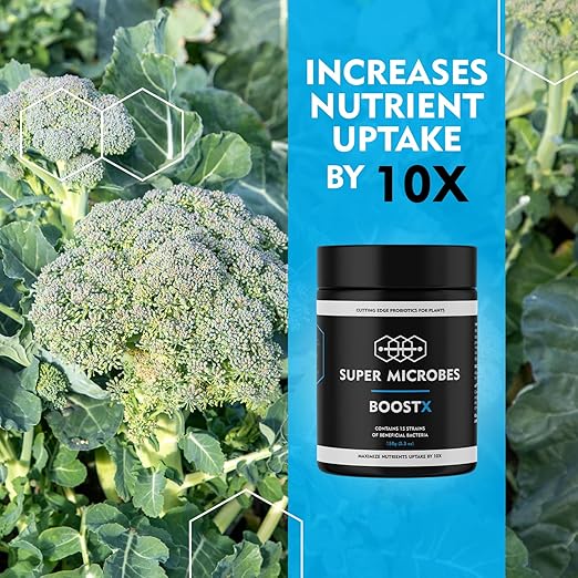 BoostX Bloom Booster & Grow Fertilizer | 16-Strain Mycorrhizae, Trichoderma & Beneficial Bacteria | Maximizes Bud, Flower & Harvest Yields | Soil & Hydroponic Nutrient Supplement | 150g