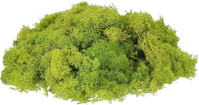uxcell Preserved Reindeer Moss, 7oz Fake Moss for Crafts Artificial Dried Moss for Decoration Terrariums Potted Plants, Chartreuse