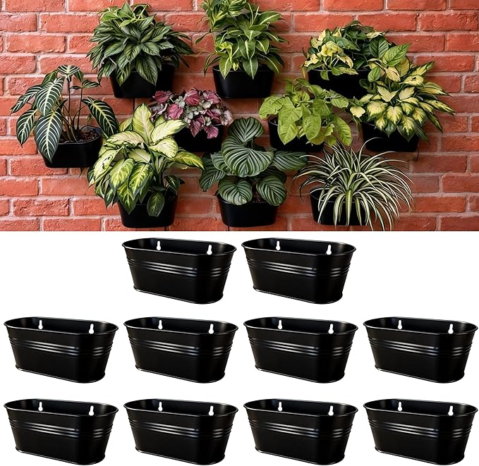LaLaGreen Wall Planter (9.8 Inch, 10 Pack) Black Oval Metal Hanging Decor Plant Holder Wall Planters for Indoor Plants Balcony Decoration Porch Plants Pots Mounted Indoor Window Planters Pot Baskets