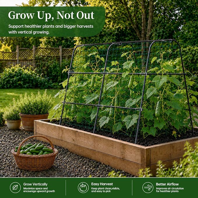 FOLLOOK Cucumber Trellis for Raised Garden Bed, Rustproof Metal Garden Arch Trellis for Climbing Plants Support Outdoor Fruit Grape Vine Vegetable Tomato Pole Bean Snap Pea Trellis, 48x48inch, Black