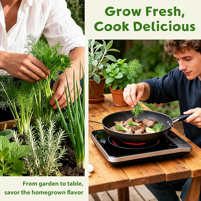 LUOJIBIE Herb Garden Kit Indoor, Herb Growing Kit with Seeds & Tools | Birthday Gifts for Women Men Mom Dad Girls Boys, House Warming Gifts New Home, Anniversary Wedding Gifts, Kitchen Décor