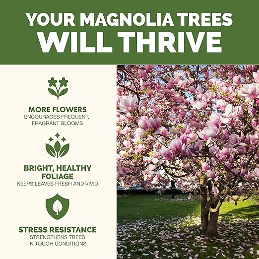 Magnolia Tree Fertilizer – Liquid Plant Food for More Blooms, Rich Green Leaves & Stronger Root Development, 32 oz