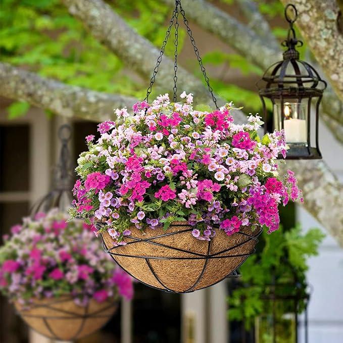 2 Pack 14 Inch Hanging Flower Baskets for Outdoor Plants Large Metal Wire Planters with Coco Liner Pot for Home Planting Round Watering Plant Holders for Outside Garden