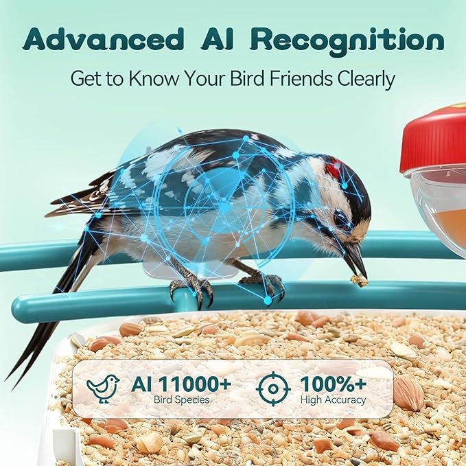 Smart Bird Feeder with Camera-AI Identify 11,000+ Species, 2K HD Auto Capture Birds Video & 64G TF Card, Solar-Powered Wireless Outdoor Design, Birdhouse with Built-in Two-Way Microphone