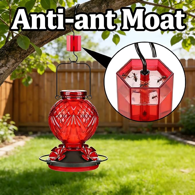 Glass Hummingbird Feeder for Outdoors Hanging, 20oz Bird Nectar Feeder with 4 Bee Guard Flower-Shaped Feeding Ports & Built-in Ant Moat, Easy to Clean, for Bird Lover,1 Pack, Red