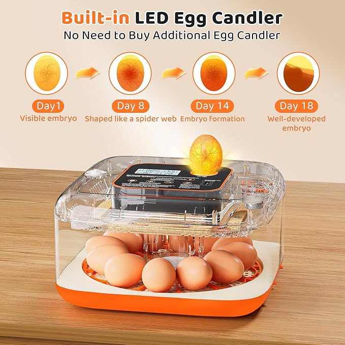 Incubators for Hatching Eggs 12 Egg Digital Egg Incubator Precision Auto Temp Humidity Control 6 Gear Adjustable Auto Turner Auto Stop Turning Hatching Days Display for Chicken Duck Goose Eggs