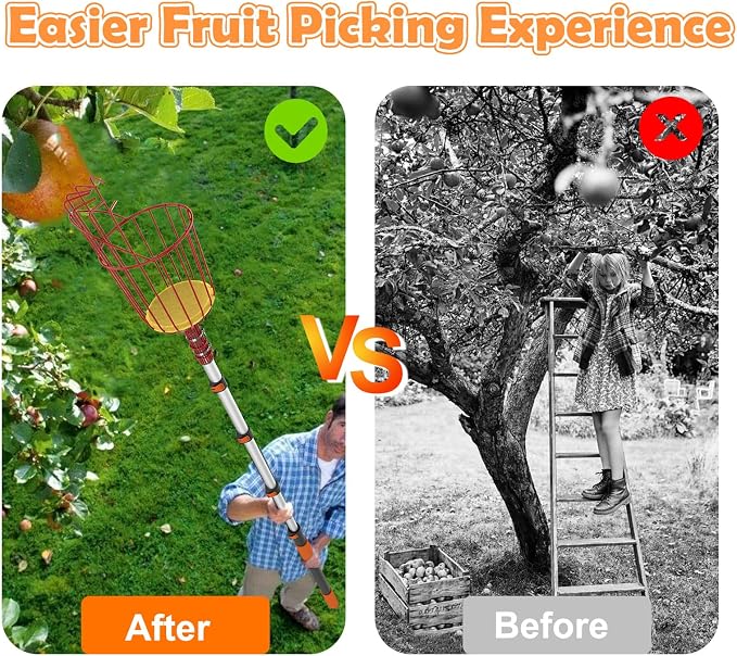 SISIUPASSIE 20FT Reach Fruit Picker, Apple Picker Pole with Basket Telescoping Tool for Apple Lemon Orange Mango Avocado Fruit Tree Picking