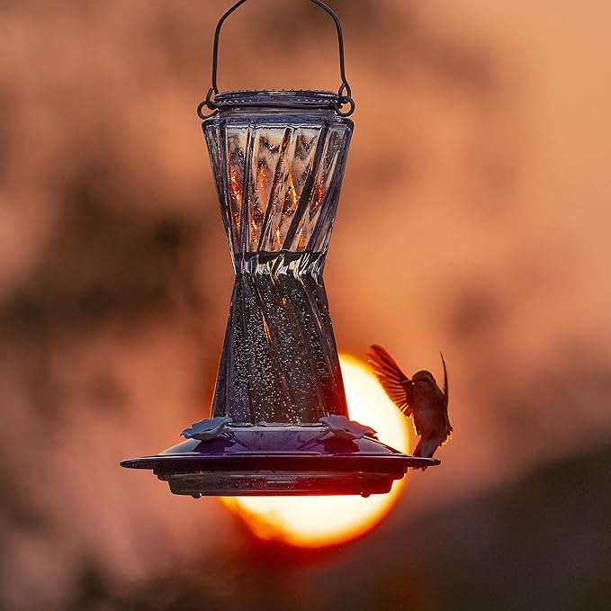 More Birds Bohemian Hummingbird Feeder, Glass Hummingbird Feeders for Outdoors, 4 Feeding Stations, 20 Ounces, Purple