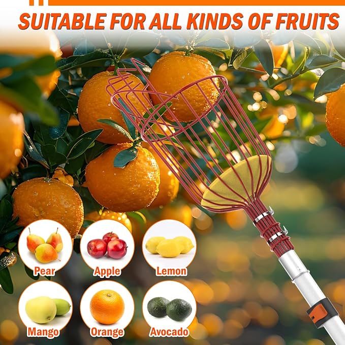 LAANPOLE 36FT Reach Fruit Picker Pole with Basket Telescoping, Apple Picker with 7-30FT Telescoping Pole for Apple Orange Lemon Mango Avocado Guava Fruit Picking