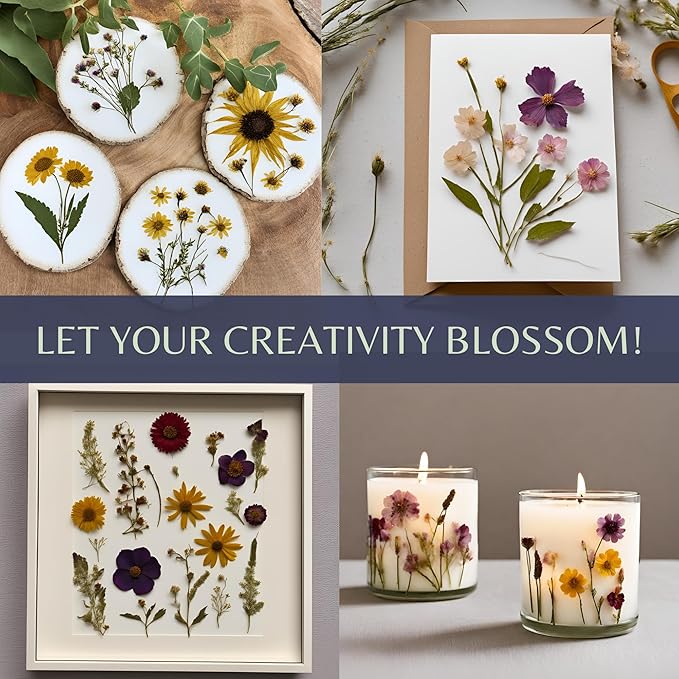 Flower Press Kit | Durable Hardwood 8x10in - Flower Preserving Kit Up to 8 layers - Floral Preservation kits for adults and kids | Innovative and Giftable Floral Pressing kit for Craft Enthusiasts