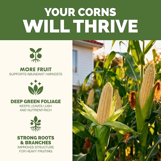High Nitrogen Fertilizer for Corn – Liquid Plant Food for Strong Stalk Growth, Deep Green Leaves & Bigger Ear Development, 32oz