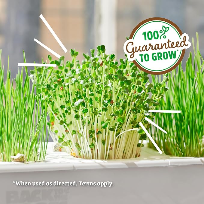 Back to the Roots Indoor Aquaponic Garden - 3 Gallon Self Watering, Mess-Free Planter and Self-Cleaning Fishtank for Herbs, Microgreens, Bamboo, Succulents, and Houseplants, support Fish