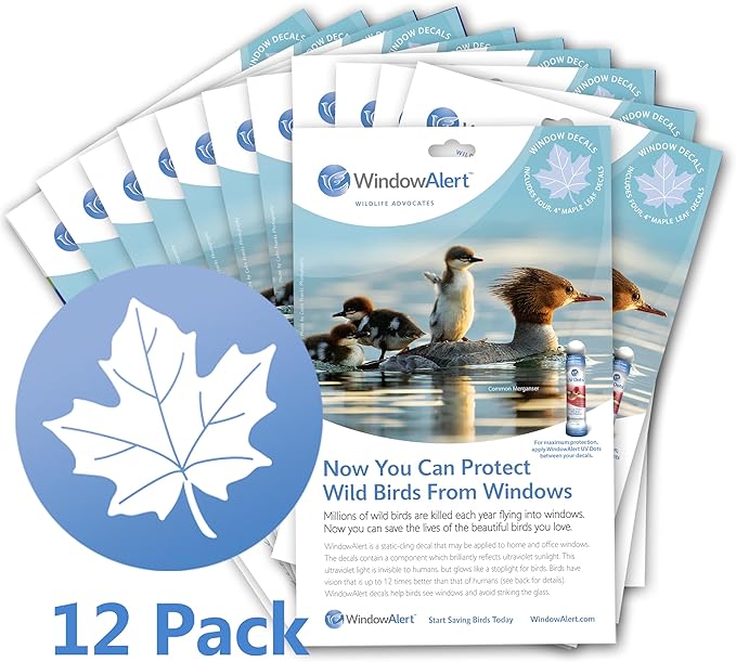 WindowAlert Maple Leaf Anti-Collision Decal 12 Pack - UV-Reflective Window Decal to Protect Wild Birds from Glass Collisions - Made in The USA