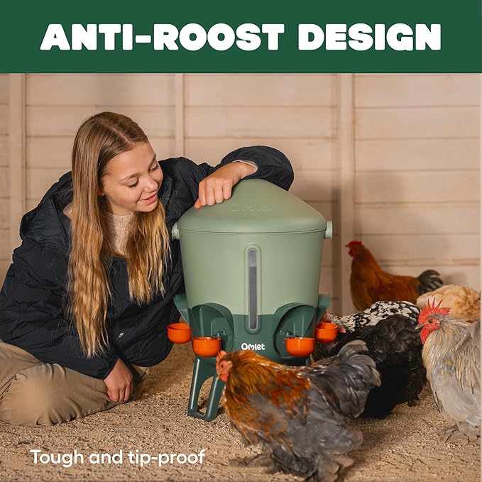 Omlet Insulated Chicken Waterer, 3 Gallon | Stay-Clean Automatic Water Dispenser for Chickens | BPA-Free | Anti-Roost Domed Lid | Includes 5 Cups & Nipples | Sage Green