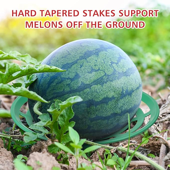 Irenare 12 Pcs Melon Cradle Plant Garden Support Protector for Watermelon Squash Pumpkin Harvest Basket Watermelon Support Trellis for Cantaloupe Honeydew Strawberry, Reusable Avoid Rot