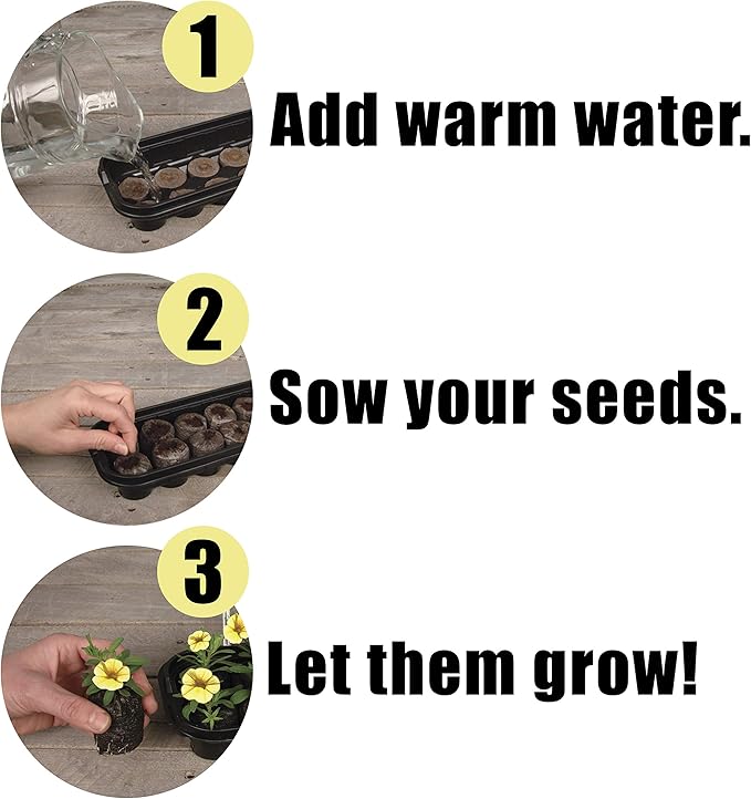 Ferry Morse Jiffy Seed Starting Windowsill Greenhouse with 10 Biodegradable 42mm Peat Pellets (5 Pack)